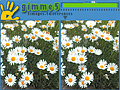 Gimme 5 pelata verkossa